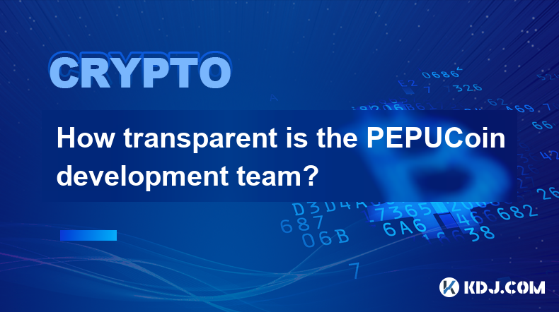 PEPUCoin 開發團隊的透明度如何？