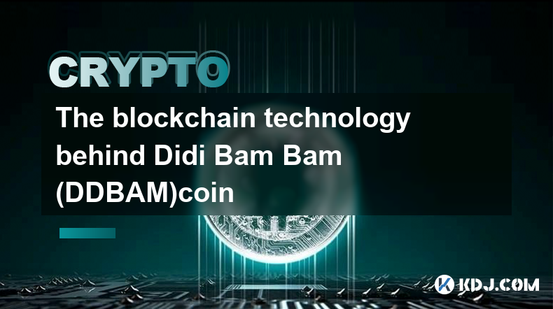 Didi Bam Bam (DDBAM) コインを支えるブロックチェーン技術