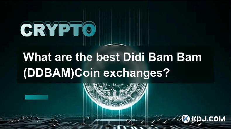 최고의 Didi Bam Bam (DDBAM)Coin 거래소는 어디인가요?