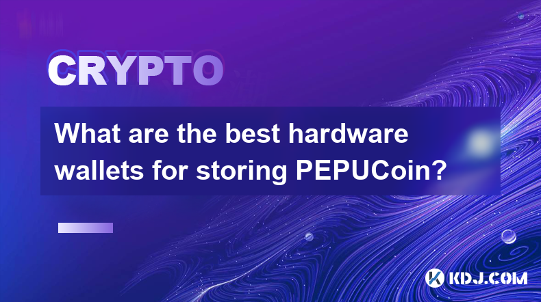 PEPUCoinを保管するのに最適なハードウェアウォレットは何ですか?