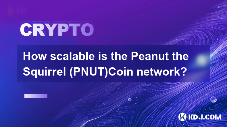 How scalable is the Peanut the Squirrel (PNUT)Coin network?