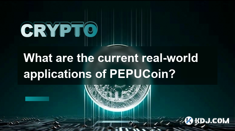 Was sind die aktuellen realen Anwendungen von PEPUCoin?