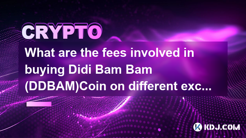 在不同交易所购买 Didi Bam Bam (DDBAM)Coin 涉及哪些费用？