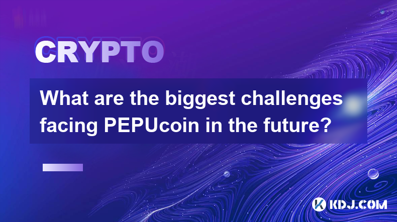 PEPUcoinが将来直面する最大の課題は何ですか?