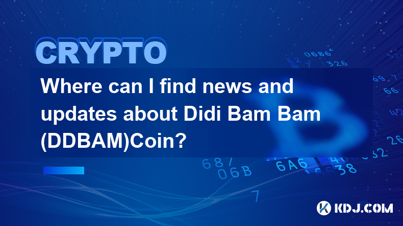 在哪裡可以找到有關 Didi Bam Bam (DDBAM)Coin 的新聞和更新？