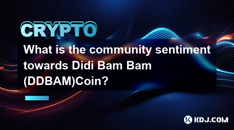 社群對 Didi Bam Bam (DDBAM)Coin 的看法如何？