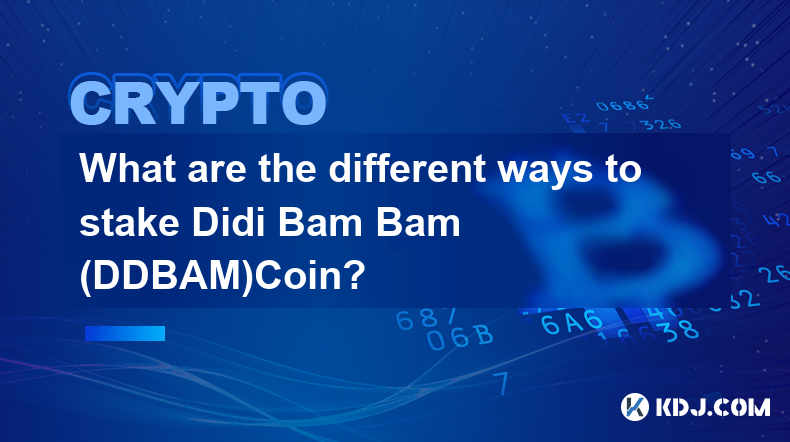 质押 Didi Bam Bam (DDBAM)Coin 有哪些不同方式？