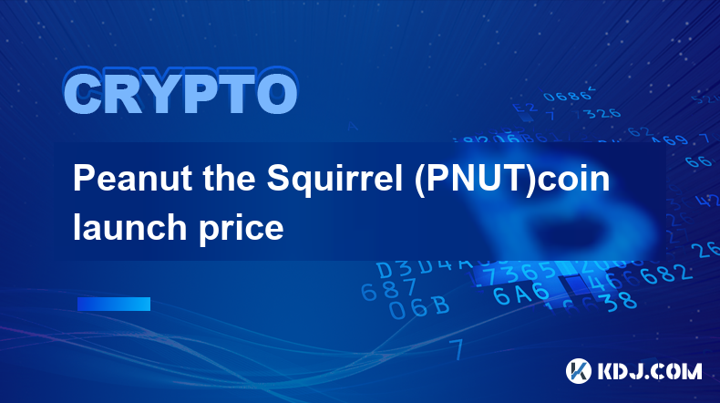 Peanut the Squirrel (PNUT)coin launch price