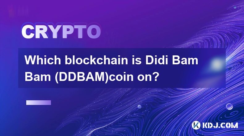 Which blockchain is Didi Bam Bam (DDBAM)coin on?