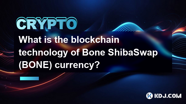 Bone ShibaSwap（BONE）幣的區塊鏈技術是什麼？