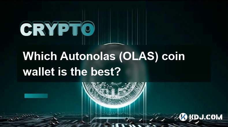 哪个 Autonolas (OLAS) 硬币钱包最好？