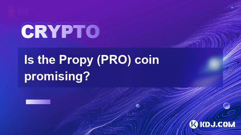 Propy（PRO）幣有前途嗎？