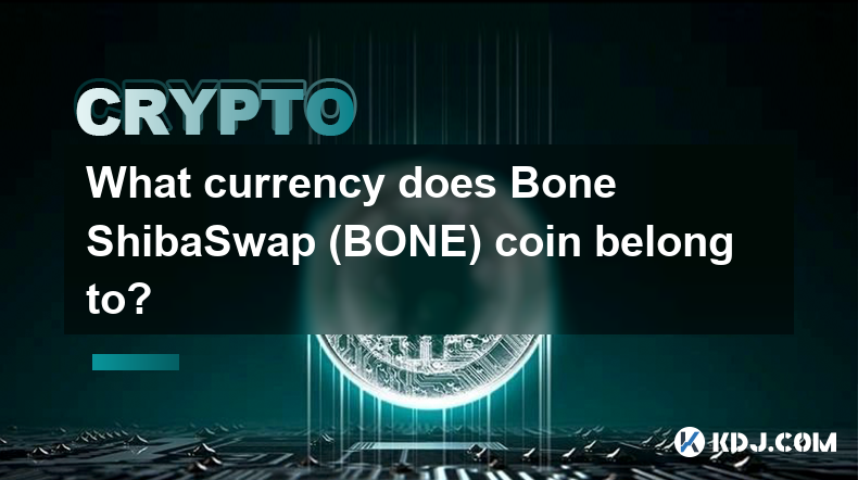 ボーン シバスワップ (BONE) コインはどの通貨に属しますか?