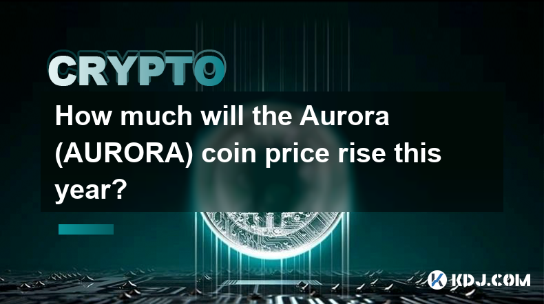 How much will the Aurora (AURORA) coin price rise this year?