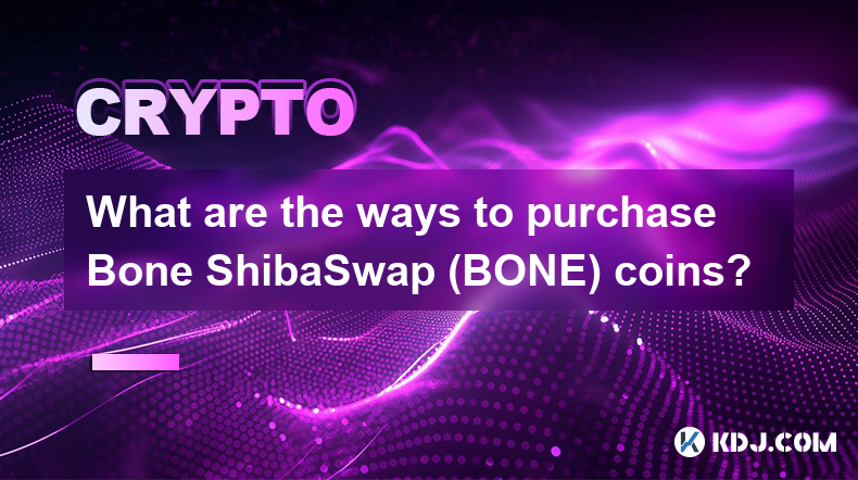 购买Bone ShibaSwap（BONE）币的方式有哪些？