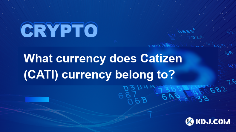 Catizen (CATI) 通貨はどの通貨に属しますか?