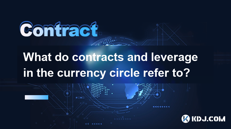 What do contracts and leverage in the currency circle refer to?