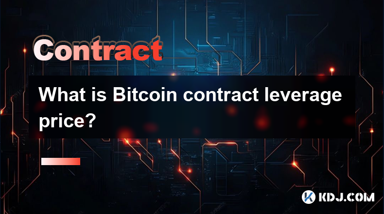 What is Bitcoin contract leverage price?