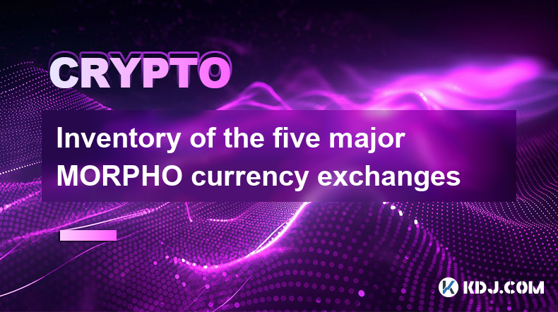 Inventory of the five major MORPHO currency exchanges