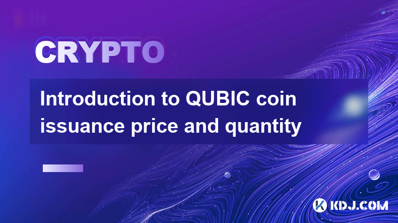 Introduction to QUBIC coin issuance price and quantity