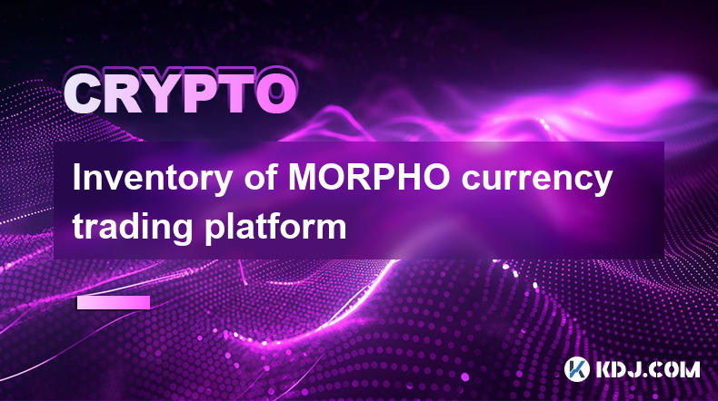 Inventaire de la plateforme de trading de devises MORPHO