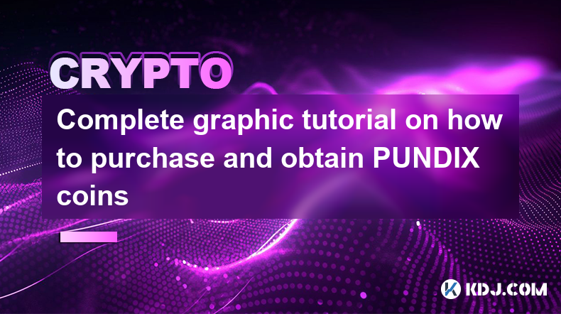 Tutoriel graphique complet sur la façon d'acheter et d'obtenir des pièces PUNDIX