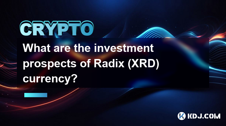 Radix（XRD）币种的投资前景如何？