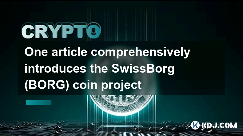 Ein Artikel stellt das Münzprojekt SwissBorg (BORG) umfassend vor