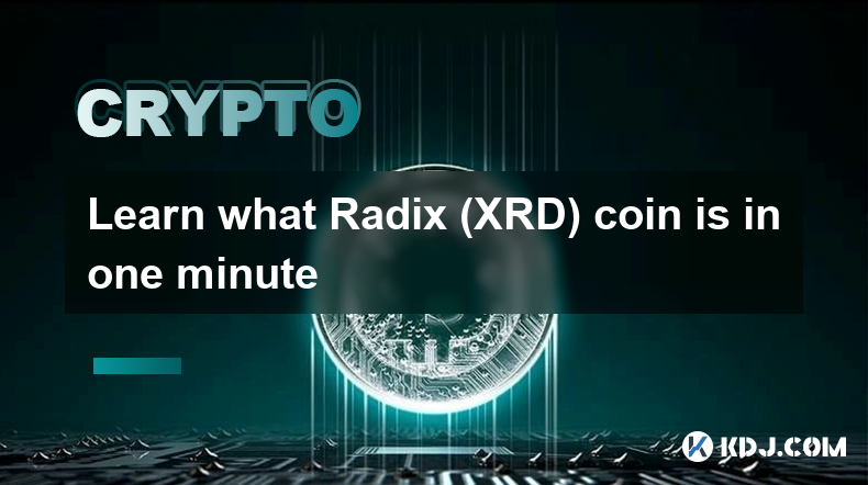 一分鐘了解 Radix (XRD) 硬幣是什麼