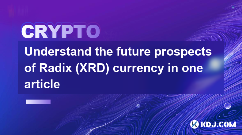 Radix (XRD) 通貨の将来性を 1 つの記事で理解する