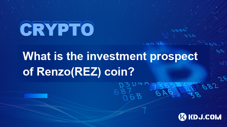 Quelles sont les perspectives d’investissement de la pièce Renzo(REZ) ?