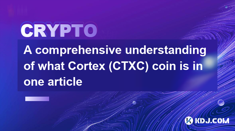 一篇文章全面了解Cortex（CTXC）币是什么