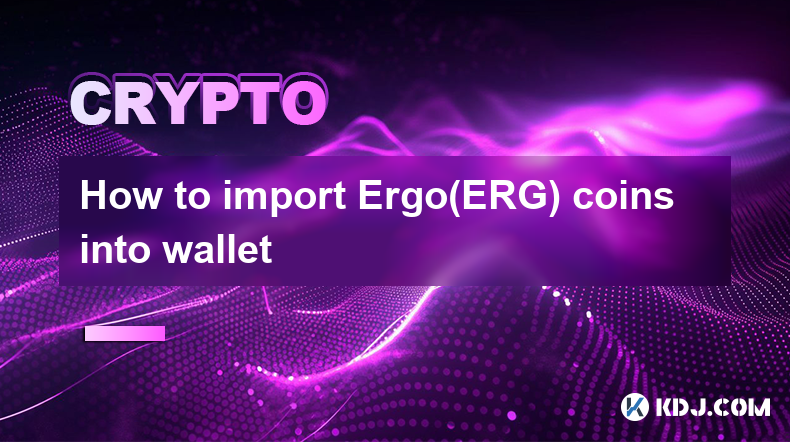 How to import Ergo(ERG) coins into wallet