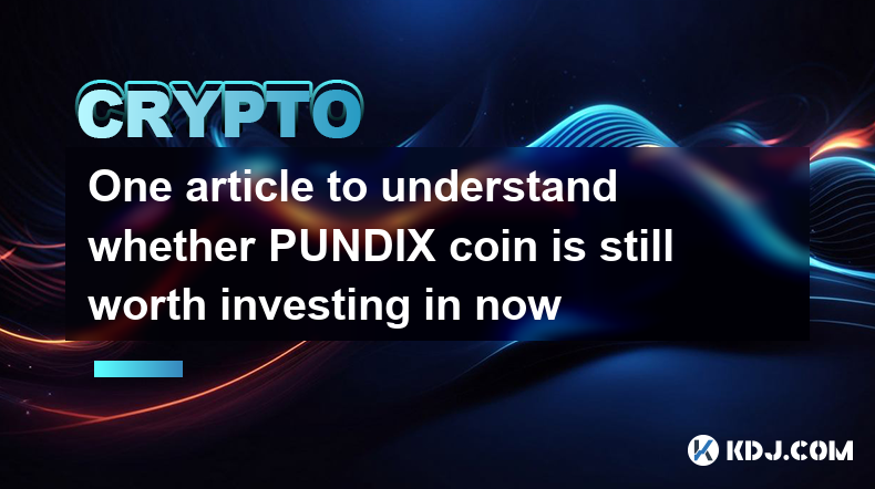 One article to understand whether PUNDIX coin is still worth investing in now