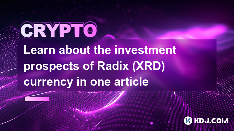 Learn about the investment prospects of Radix (XRD) currency in one article