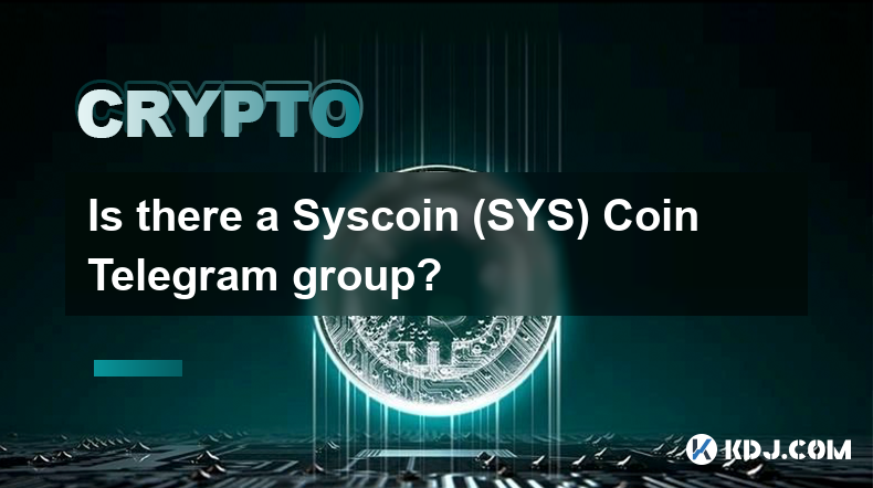 有 Syscoin (SYS) Coin Telegram 群組嗎？