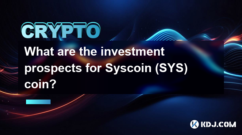 What are the investment prospects for Syscoin (SYS) coin?