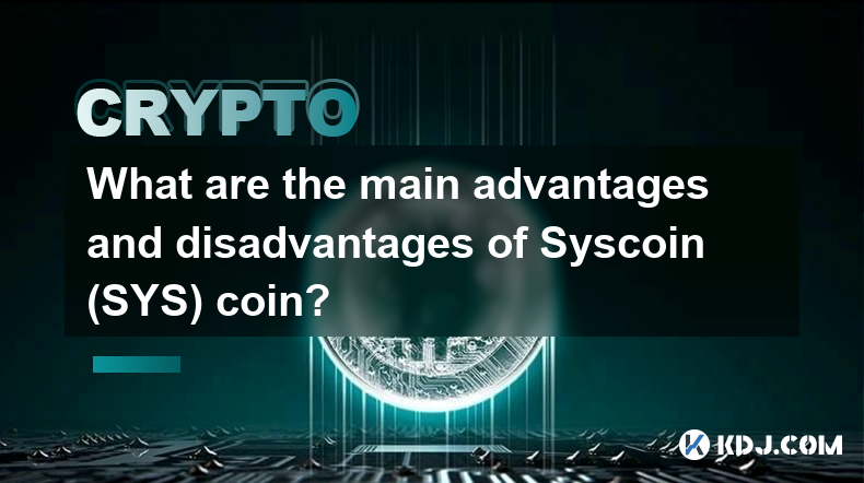 Syscoin（SYS）币的主要优点和缺点是什么？