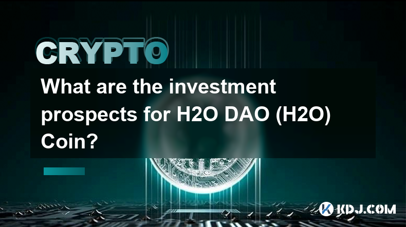 Quelles sont les perspectives d’investissement pour H2O DAO (H2O) Coin ?