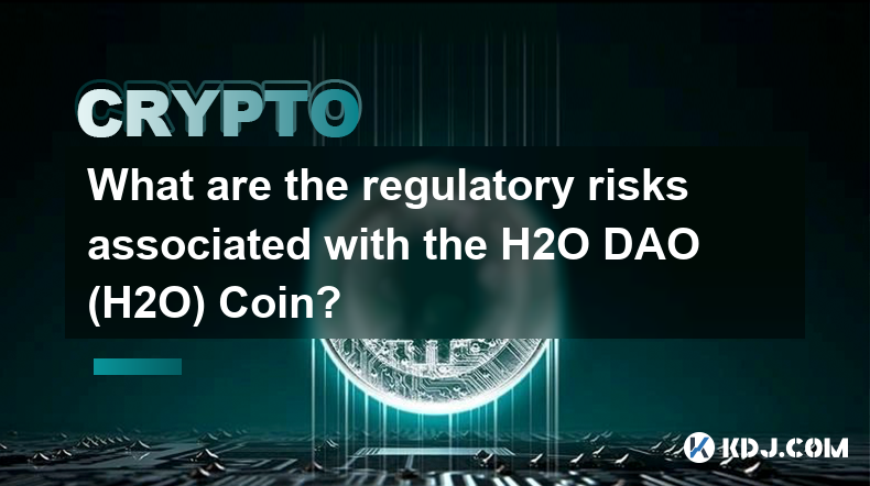 與 H2O DAO (H2O) 幣相關的監管風險有哪些？