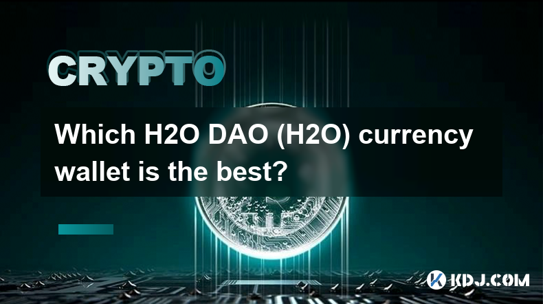 どの H2O DAO (H2O) 通貨ウォレットが最適ですか?