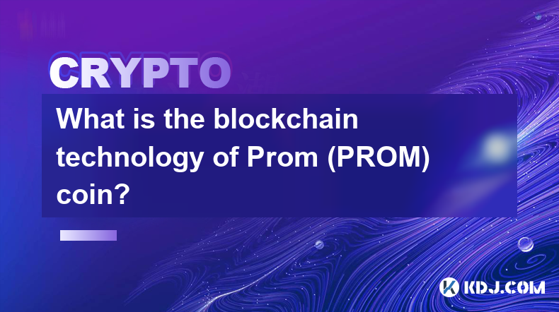 Prom（PROM）币的区块链技术是什么？