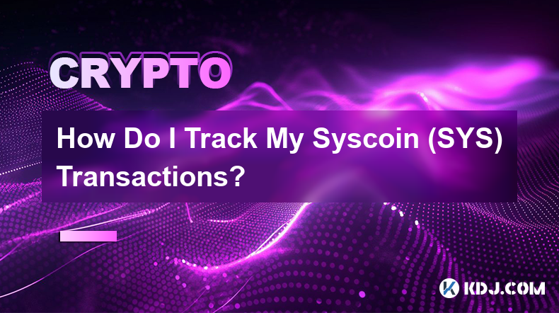 如何追蹤我的 Syscoin (SYS) 交易？