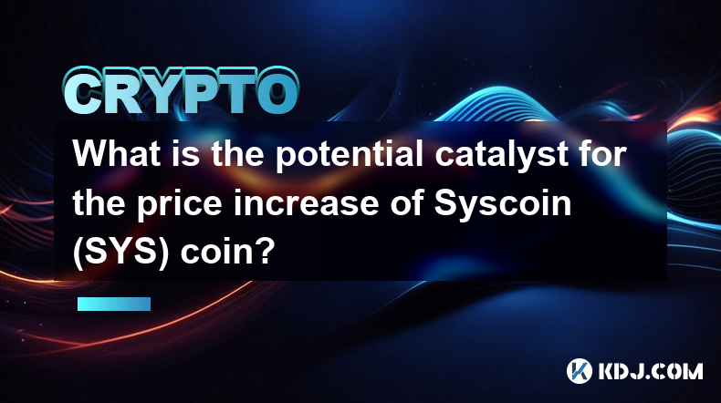 Syscoin（SYS）币价格上涨的潜在催化剂是什么？