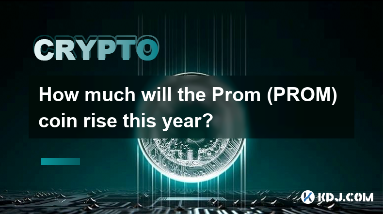 今年普罗姆（PROM）币会涨多少？