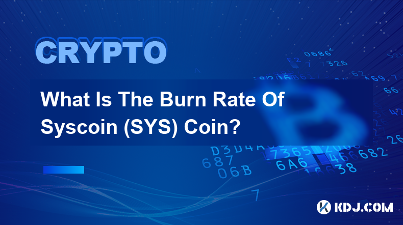 Syscoin (SYS) 硬币的燃烧率是多少？