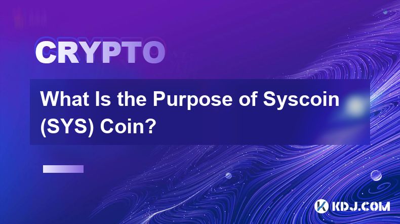 Syscoin (SYS) 幣的用途是什麼？