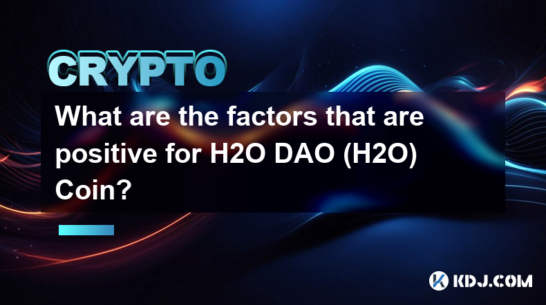 有哪些因素对 H2O DAO (H2O) 币有利？