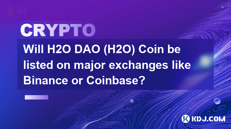 H2O DAO (H2O) Coin 會在 Binance 或 Coinbase 等主要交易所上市嗎？