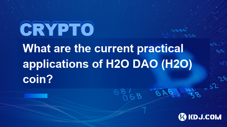 H2O DAO（H2O）幣目前有哪些實際應用？